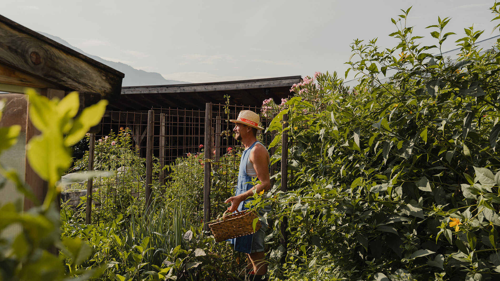 Eine Person mit Hut, die einen Korb in der Hand hält, steht in einem üppig grünen Garten in der Nähe eines Holzgebäudes. - Bucherhof